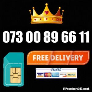 073 00 89 66 11
