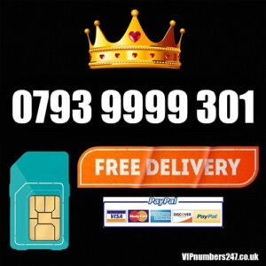 0793 9999 301