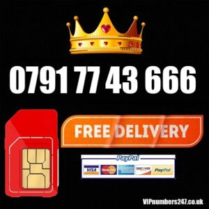 0791 77 43 666
