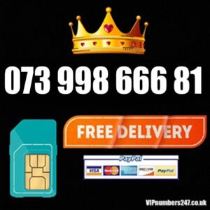 073 998 666 81