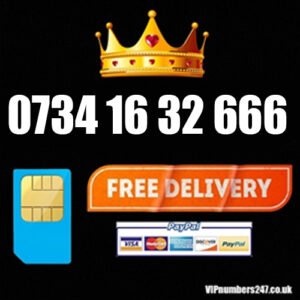 0734 16 32 666