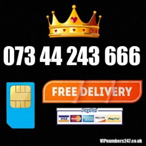 073 44 243 666