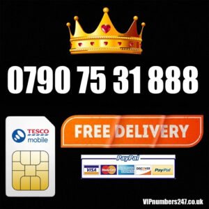 0790 75 31 888