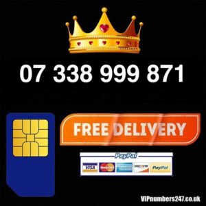 07 338 999 871